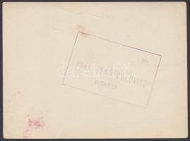 cca 1935 Dulovits Jenő (1903-1972): Kilátás Badacsonyra, vintage alkotás, pecséttel jelzett, 9x12 cm