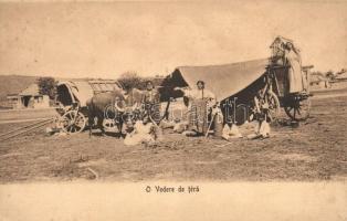 Romanian folklore, carriage (wet damage)