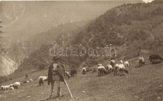 Carpathian folklore, shepherd