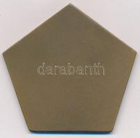 1961. "Községfejlesztésért - Bács-Kiskun Megyei Tanács" Br emlékérem, nem hozzá tartozó ki...