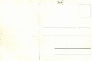 Poucnik, Budnany pod Karlstejnem