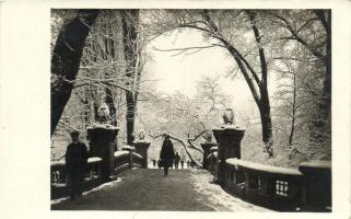 Bucharest, Cismigiu Gardens, bridge at winter photo