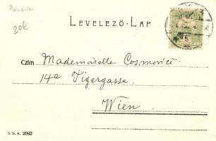 Győr, Sétatéri híd és honvéd épület