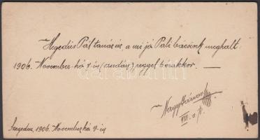 cca 1905 Gévay Béla (Szeged): Hegedűs Pál szegedi tanár és művelődéstörténész (1858-1906) műtermi fo...