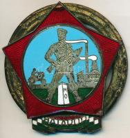 cca 1950 "Határőr" zománcozott sapkajelvény T:3