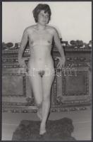 1970 Klasszikus formák, finoman erotikus fénykép, 14x9 cm / 1970 Erotic photo, 14x9 cm