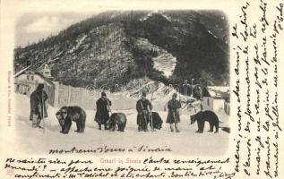 Sinaia, Ursari / Romanian bear tamers, folklore