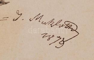 1887 Krautschneider aus Montafun- Vorarlberg. Színezett fa metszet a Blatter für Kostumkunde c. köny...