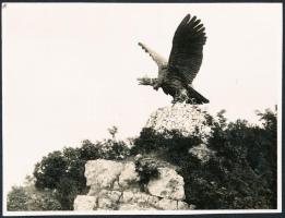 cca 1930 A tatabányai turul emlékmű (Donáth Gyula alkotása) Európa legnagyobb madárábrázolása, 9x12 cm