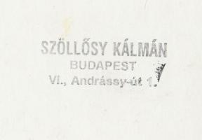 cca 1970 Szöllősy Kálmán (1887-1976): Hegedűművész portréja, pecséttel jelzett vintage fotó, 17x12 c...