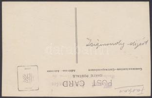 1924. január 13. Macsi fotóriporter: Budapest, Városliget, a Zsigmondy-díjért játszó hokicsapat, fot...