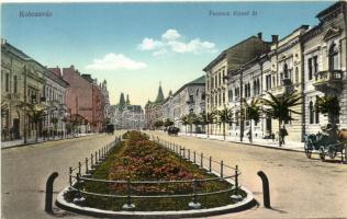 Kolozsvár, Ferencz József út / street