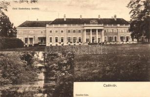Csákvár, Geszner ház, Gróf Eszterházy kastély (EB)