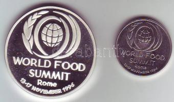 Románia 1996. 100L Ag + 10L fém "Élelmezési Világtalálkozó" T:PP+BU Tanúsítvánnyal, csak 5...