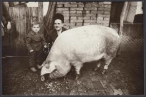 cca 1950 A gazda két büszkesége, jelzetlen fotólap Hajdu János csongrádi fényképész hagyatékából, későbbi előhívás, 9x14 cm