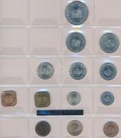 Vegyes fémpénz gyűjtemény klf országokból 13db berakólapon, közte Paraguay, Panama, Suriname, Chile ...