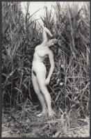 cca 1970 Nádszálak közt hajladozva, finoman erotikus fénykép, 14x9 cm / cca 1970 Erotic photo, 14x9 cm