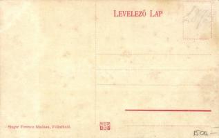 Félixfürdő, Baile Felix; Vendéglő terasz; Singer Ferencz kiadása / restaurant interior (fl)