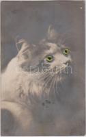 Cat with decorated eye (EB)
