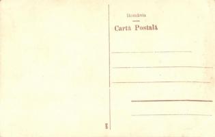 Segesvár, Sighisoara; Várdomb / castle hill