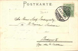 Karlsruhe, Schloss, Passepartoutkarte / castle Emb. coat of arms litho (EK)