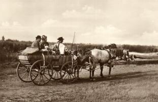 Lovasszekér, úton a városba, folklór / Horse cart, Hungarian folklore (EK)