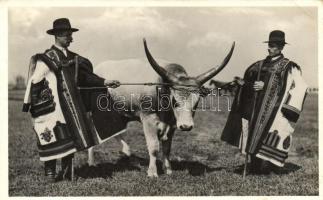 Hungarian folklore, bull So. Stpl (EK)