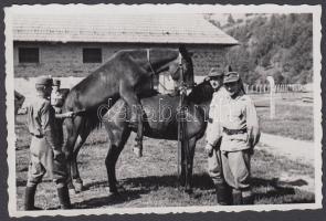 Katonai lovak fedeztetése, 9x6 cm / Military horses, 9x6 cm