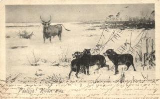 Vastagh kivert bika / Bull with wolves (EK)