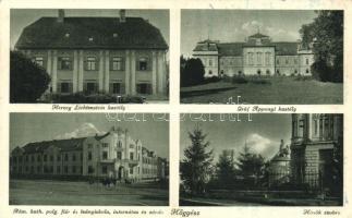 Hőgyész, Herceg Lichtenstein és Gróf Apponyi kastély, Római katolikus polgári fiú és leány iskola, internátus és zárda (EK)