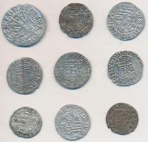 9db-os vegyes magyar, lengyel denár tétel, közte "I. Ferdinád", "II. Miksa" T:ve...