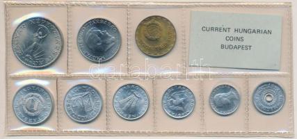1981. 2f-10Ft 9db klf érmés forgalmi sor fóliatokban T:1