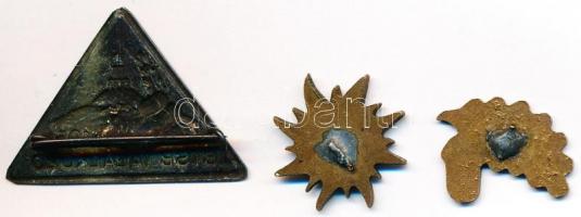 3db klf turistajelvény, közte Nagyvillám 1954. "BTSB Találkozó" fém jelvény, a másik kettő...