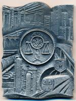 1979. "Pénzügyi Törvény" fém plakett (117x88mm) T:1-