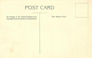 New South Wales, Australia - set of stamps, Ottmar Zieher's Carte philatelique No. 51. litho