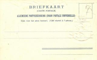 Netherlands - set of stamps, Ottmar Zieher's Carte philatelique No. 8. Emb. litho