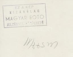 cca 1950-1960 Magyar Foto: Herendi porcelánt festő nő, pecséttel jelzett, 12x17 cm