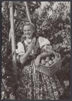 cca 1950-1960 Magyar Foto: Szeremle, gyümölcsszüret, pecséttel jelzett, feliratozva, 12x17 cm