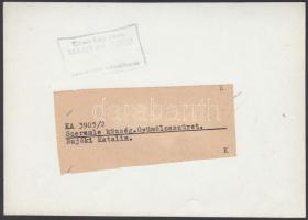 cca 1950-1960 Magyar Foto: Szeremle, gyümölcsszüret, pecséttel jelzett, feliratozva, 12x17 cm