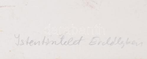 cca 1930-1940 Istentisztelet Erdélyben, hátoldalon feliratozva, 28x23 cm