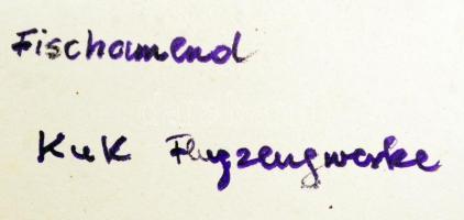 1916 Fischamend, K.u.K Flugzeugwerke, Neues Werk im Bau, gyárépítés, feliratozva, 17x11 cm /
1916 Fi...