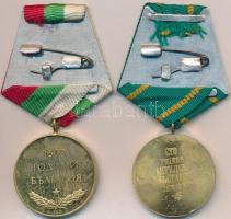 Bulgária 1976. "1876-os Áprilisi Felkelés 100. Évfordulója" fém kitüntetés mellszalagon (3...