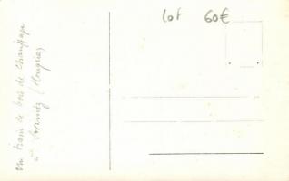 Szinice, Svinitza környéke, fakitermelés / wood extraction, photo