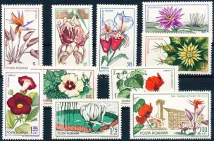 45th anniversary of Cluj-Napoca Botanical Garden; Flowers set, 45 éves a kolozsvári Botanikus kert; Virág sor