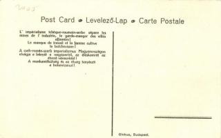 Unemployment and famine encourage the growth of Bolshevism, irredenta s: Haranghy Jenő