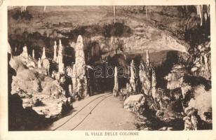 Grotte di Postumia, Il viale delle colonne / cave, The avenue of columns (small tear)