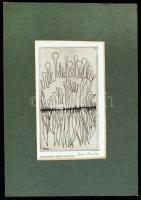 Szenes Zsuzsa (1931- ): Nyúlványok. Rézkarc, papír, jelzett, 15,5×9 cm