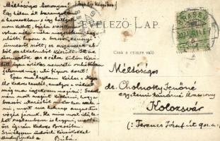 1907 Brassó 'Zsunyi-ünnep' az e célra külön készített igen értékes nemzeti ruhákban megjel...