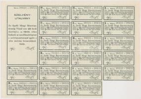 Vésztő 1923. "Az Apolló Mozgó Részvénytársaság Vésztő" 25db részvénye, egyenként 1000K-ról...