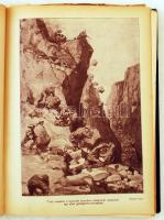 Lándor Tivadar (szerk.): A nagy háború írásban és képben I.-VII. kötet.  Első rész: Északon és délen...